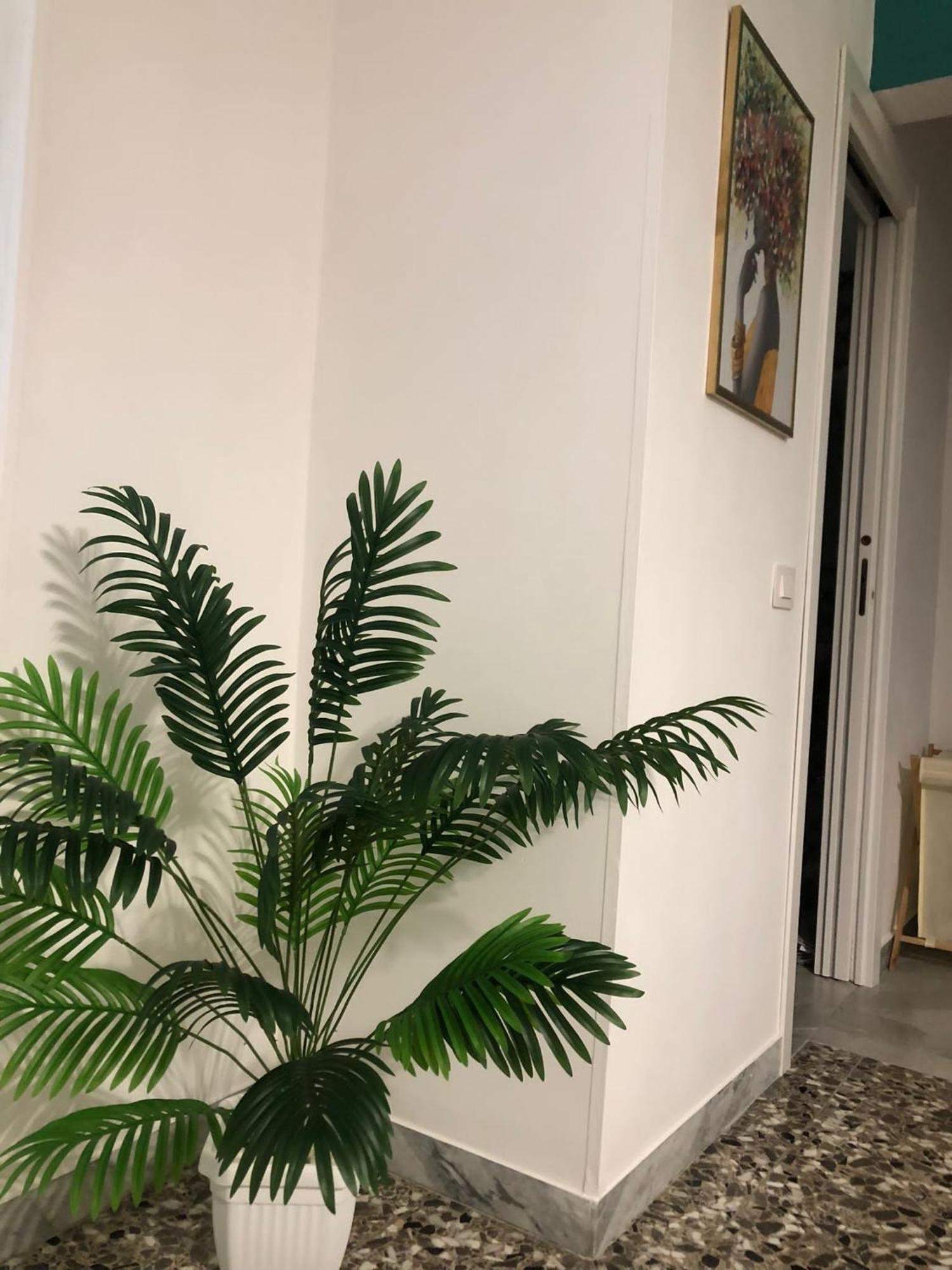 Dimora Gallo Fasano Ngoại thất bức ảnh
